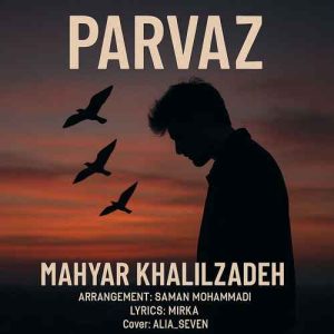 دانلود آهنگ مهیار خلیل زاده پرواز